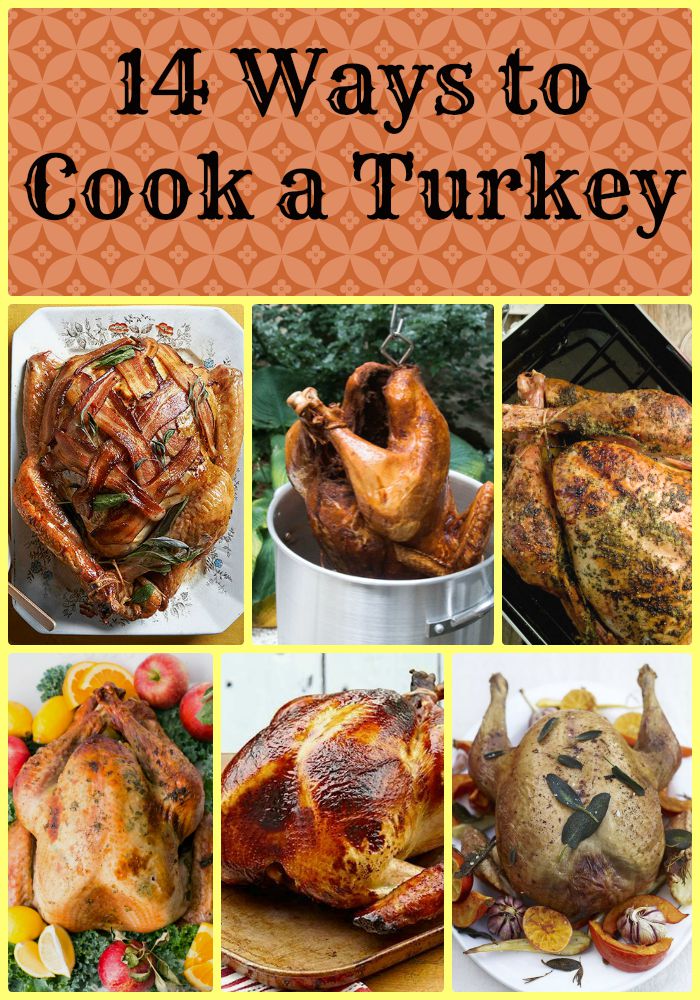 14 Different Ways to Cook a Turkey - TGIF - This Grandma is Fun