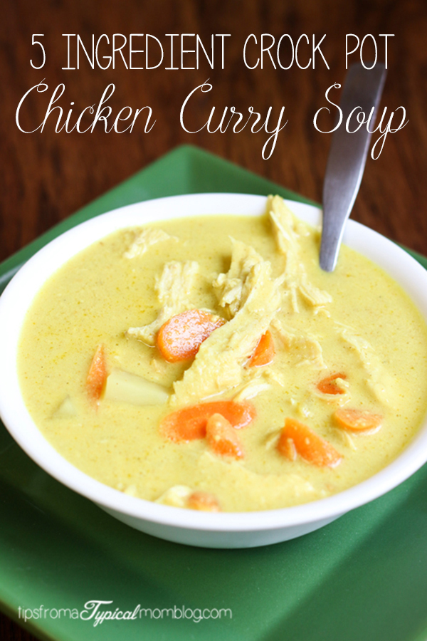 5 Ingredient Crock Pot Chicken Curry Soup - TGIF - This Grandma is Fun