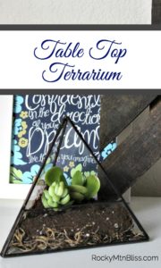 This quick terrarium tutorial demonstrates how easily you can make your own DIY succulent garden.