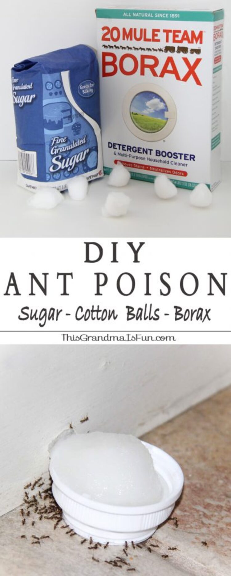 1 Poison Ant DIY Collage Image Box Of Borax Next To Bog Of Sugar Bowl Of Homemade Ant Killer Surrounded By Ants 